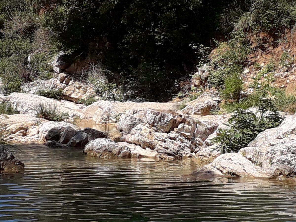 لورج La Villa Provencale المظهر الخارجي الصورة
